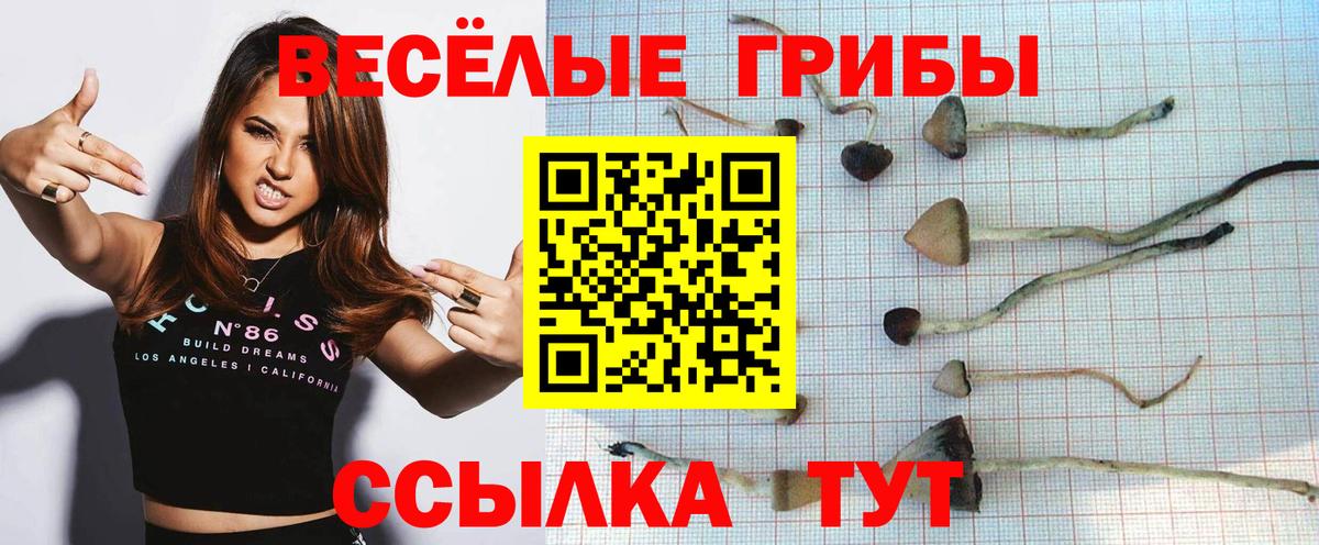 что такое наркотик  Вход с VPN  Минеральные Воды  Галлюциногенные грибы Magic Shrooms 